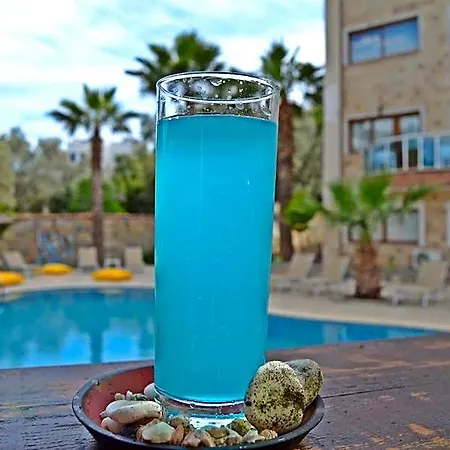 Bodrum Oscar Hotel Gumbet